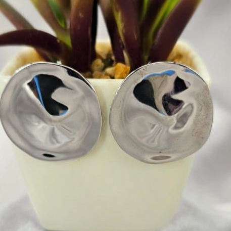 A pair of sterling silver hammered studs earrings displayed in front of a potted plant.