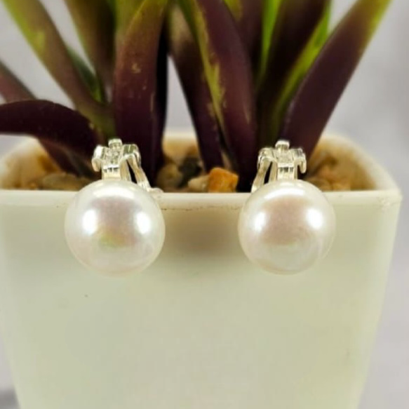 A pair of white freshwater pearl clip-on earrings resting on a plant pot.