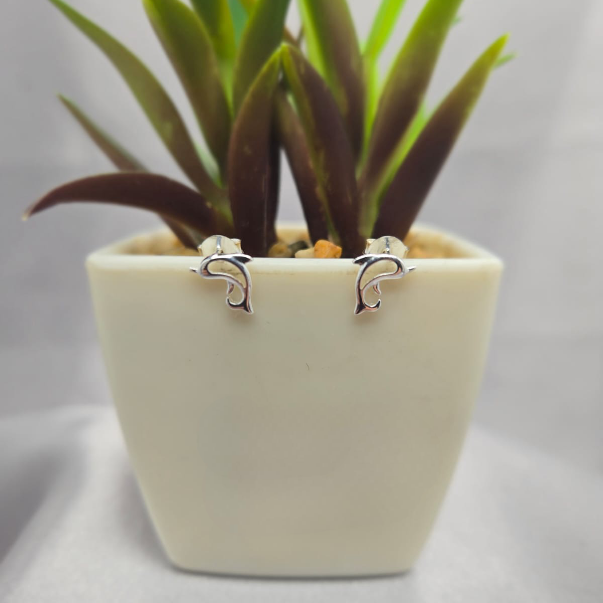 Open Dolphin Stud Earrings