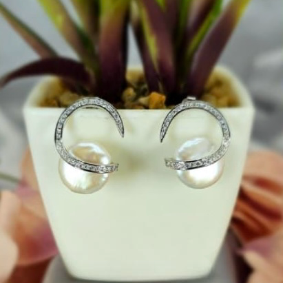 A pair of silver earrings with cubic zirconia accents, displayed in a white container with a green plant in the background.
