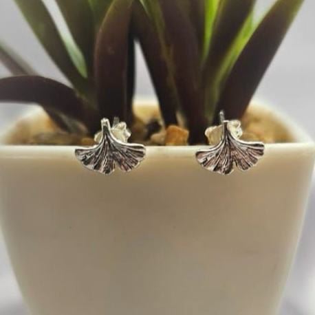 A pair of silver stud earrings designed to resemble seeds or small fruits of a plant, displayed in a white pot with a green plant background.