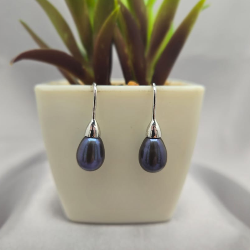Pair of dark blue earrings with silver hooks displayed in front of a small plant in a pot.