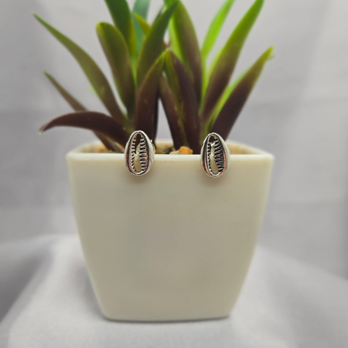 Cowley shells studs