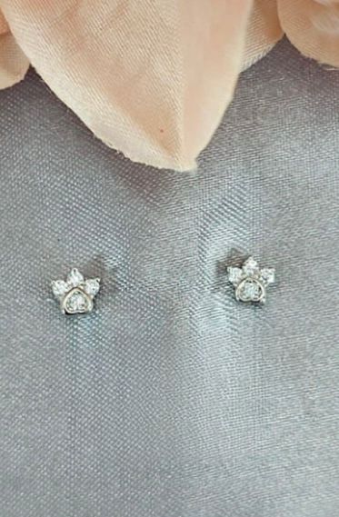 Cubic zirconia detailed paw studs