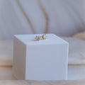 Gold 5mm Moissanite stud earrings (with GRA Certificate) - Terciany 