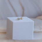 Gold 5mm Moissanite stud earrings (with GRA Certificate) - Terciany 