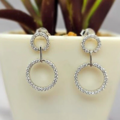 Silver hoop earrings on a white surface with a plant in the background