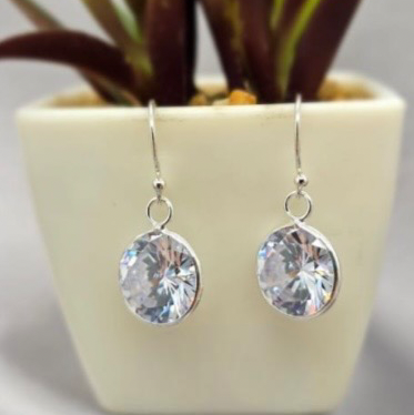 A pair of sterling silver drop earrings with cubic zirconia stones, displayed in front of a potted plant.