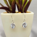 A pair of silver drop earrings with cubic zirconia stones, displayed in front of a potted plant.
