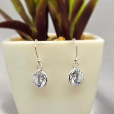 A pair of silver drop earrings with cubic zirconia stones, displayed in front of a potted plant.