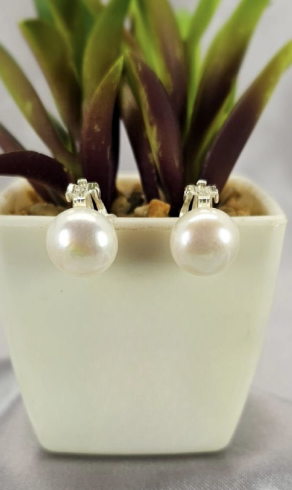 10mm freshwater pearl clip on earrings