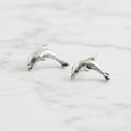 Dolphin Studs - Terciany 