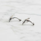 Dolphin Studs - Terciany 