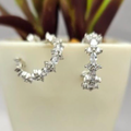 A pair of sterling silver hoop earrings with cubic zirconia, displayed in front of a potted plant.