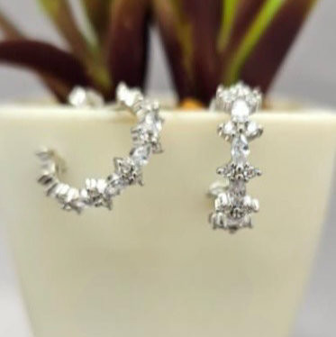A pair of sterling silver hoop earrings with cubic zirconia, displayed in front of a potted plant.