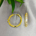 A pair of 18c gold plated sterling silver hoop earrings with cubic zirconia details, displayed against a plant backdrop.