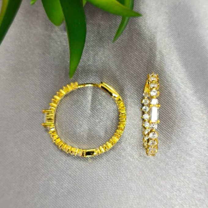 A pair of 18c gold plated sterling silver hoop earrings with cubic zirconia details, displayed against a plant backdrop.