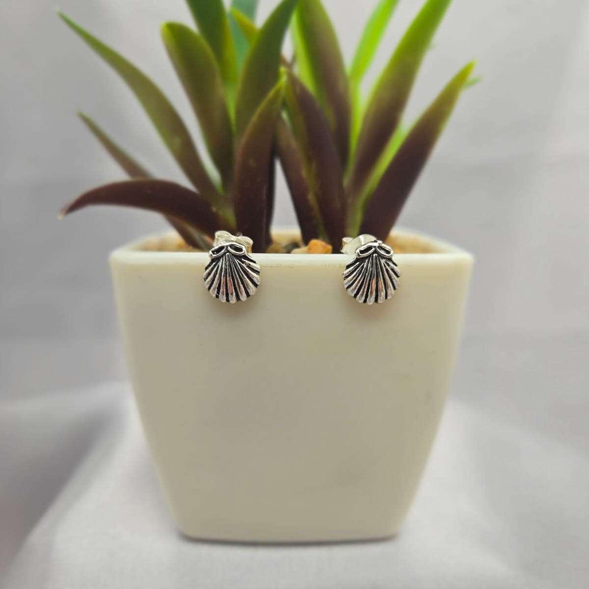 Shell studs