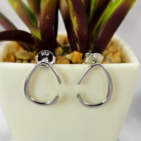 A pair of silver open circle stud earrings displayed in front of a potted plant.