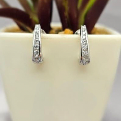 Silver hoop earrings with clear stones displayed in front of a potted plant.