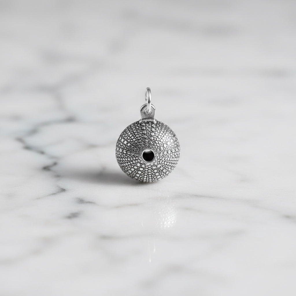 Sea Urchin Shell pendant