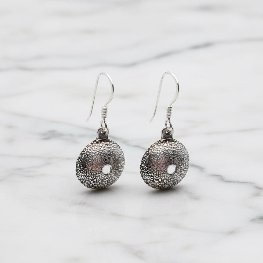 Sea Urchin Shell Earrings - Terciany 