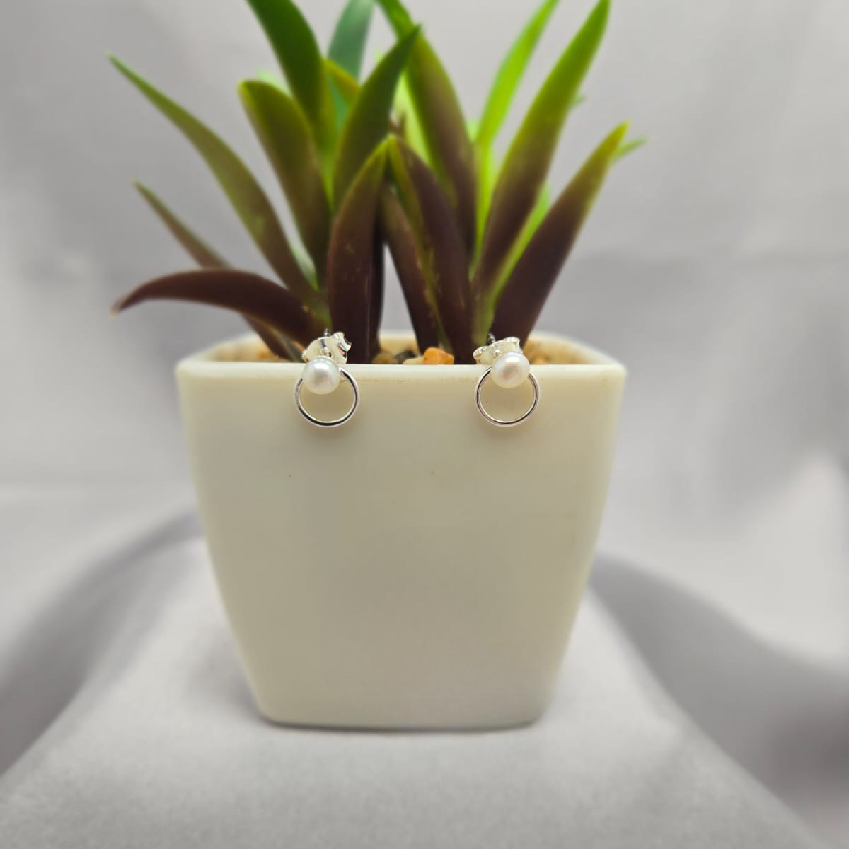 Pearl and circle stud