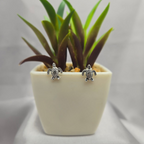 Tortoise stud - Terciany 