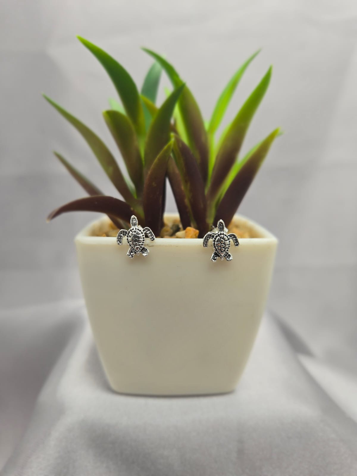 Tortoise stud