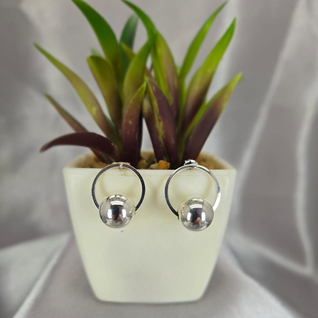 Pair of silver hoop earrings in front of a small potted plant on a light gray background