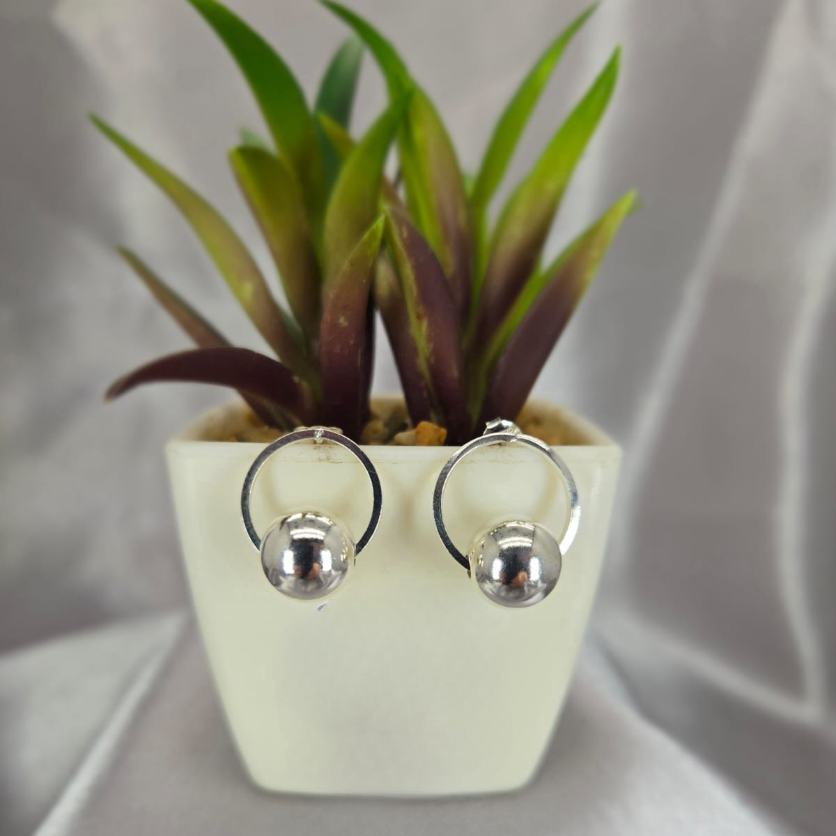 Pair of silver hoop earrings in front of a small potted plant on a light gray background