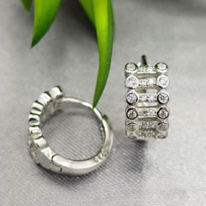 Silver hoop earring and stud earring on a gray surface with green leaves in the background