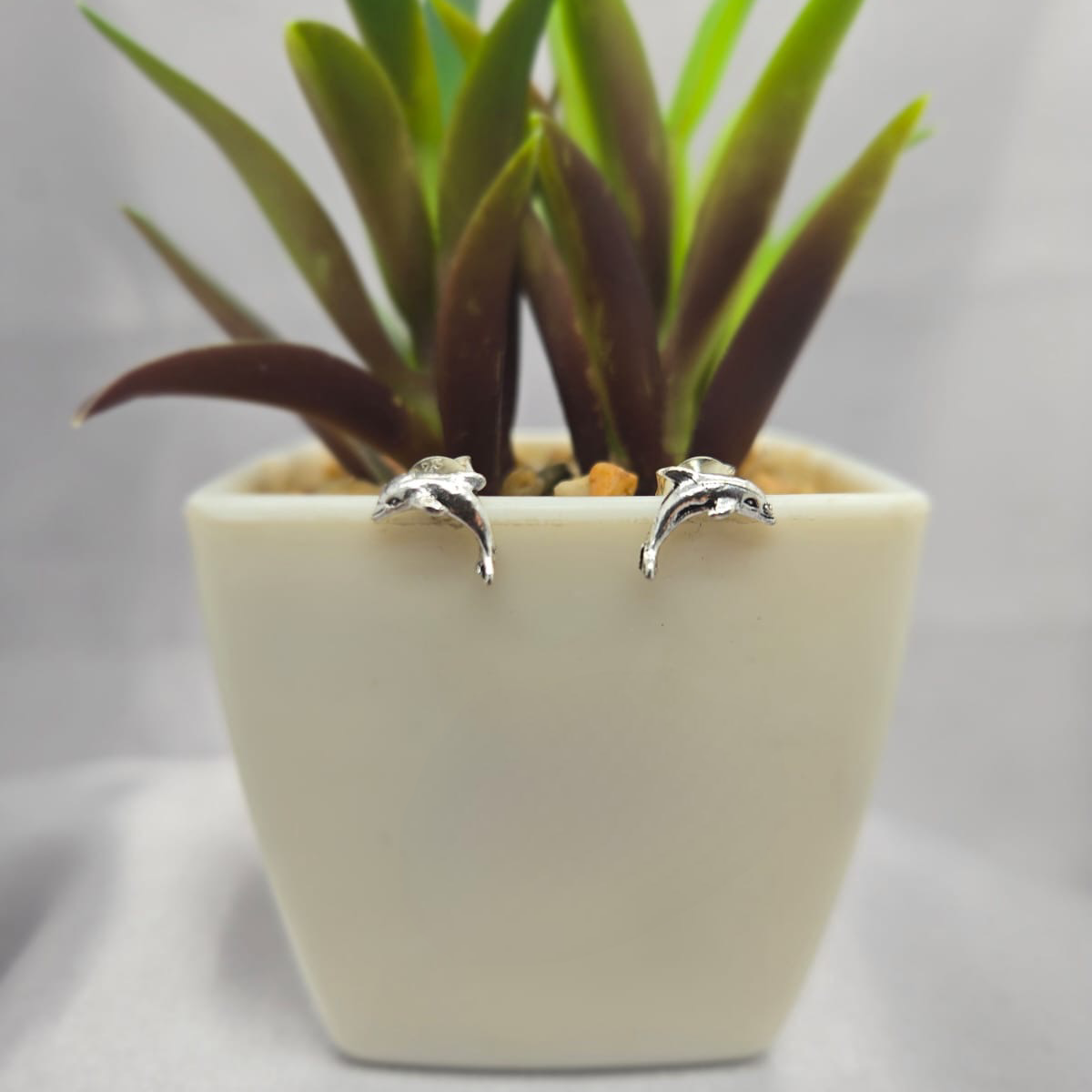 Dolphin studs