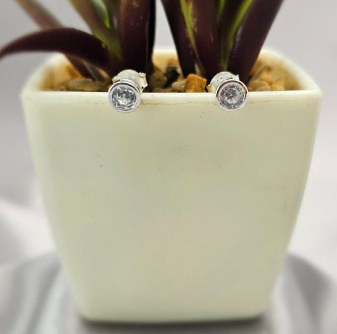 Stud Earrings with Tube Setting