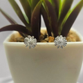 8mm White Flower Stud Earrings - Terciany 