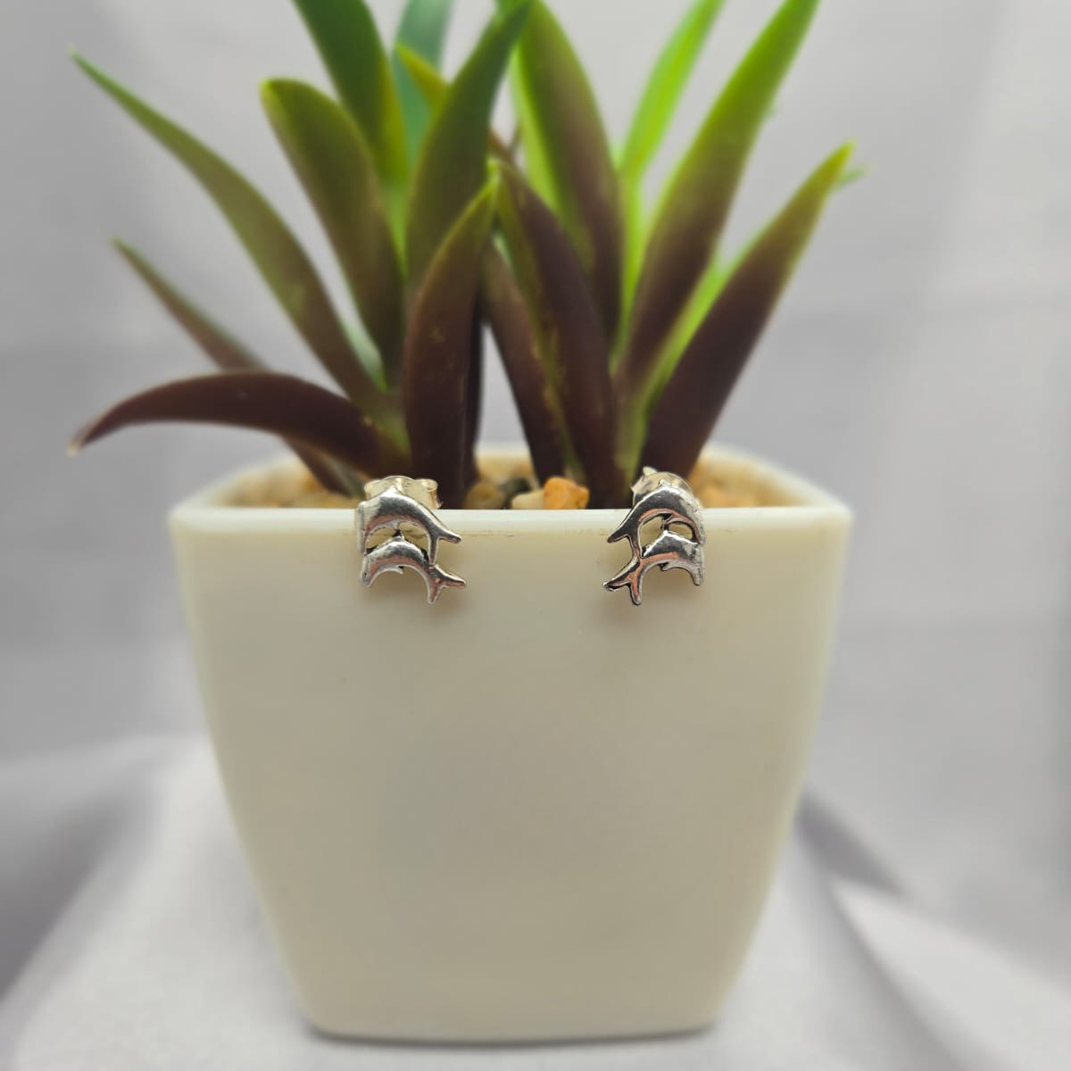 Double dolphin studs