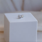 4mm Moissanite Stud earrings (with GRA Certificate) - Terciany 