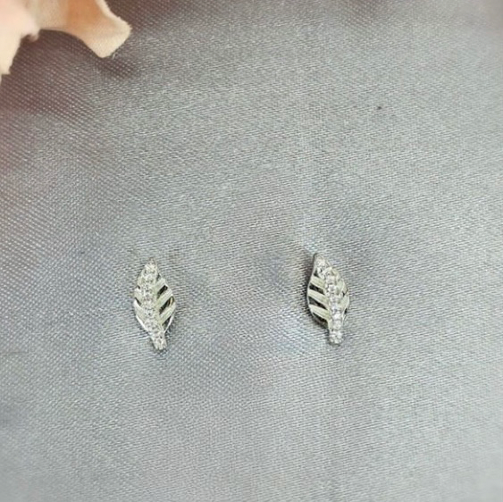 Pretty leave studs