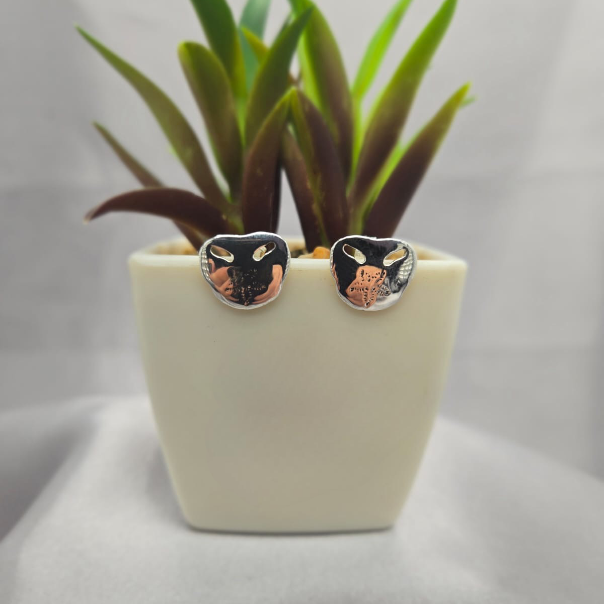 Pansy shell stud earring