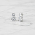 Double Clear Stone Earrings