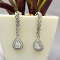 Teardrop-shaped silver earrings with clear stones in front of a potted plant.