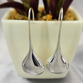 A pair of long stem solid drop earrings made from sterling silver, displayed in front of a potted plant.