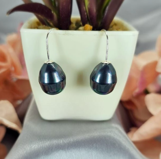 Beautiful dark blue shell pearl earrings