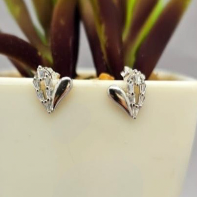 Pair of silver earrings on a white surface with a plant in the background
