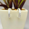 Silver hoop earrings displayed in a white pot with a plant.