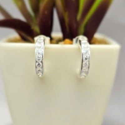 Silver hoop earrings displayed in a white pot with a plant.