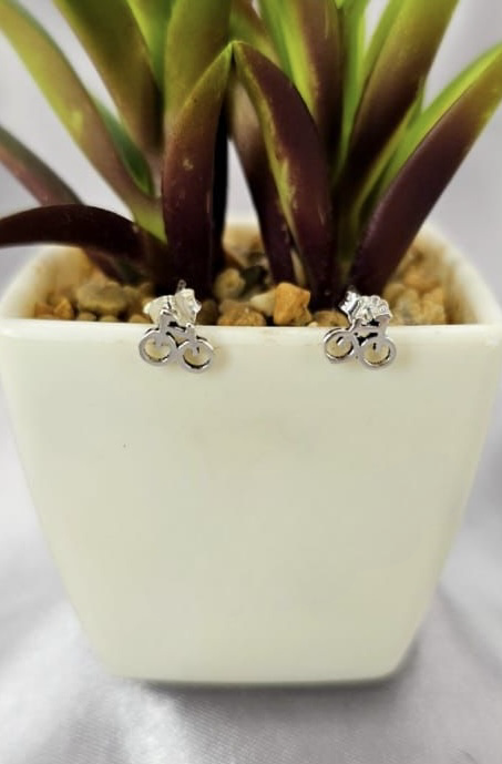 Bicycle Studs
