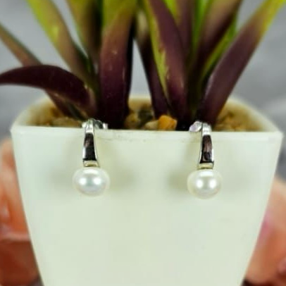 A pair of silver hoop earrings with freshwater pearls dangling from them, displayed in a white pot with green plant leaves.