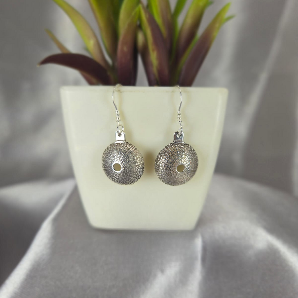 Sea Urchin Shell Earrings - Terciany 