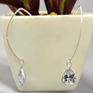 A pair of sterling silver hoop earrings with cubic zirconia drops, displayed in front of a potted plant.